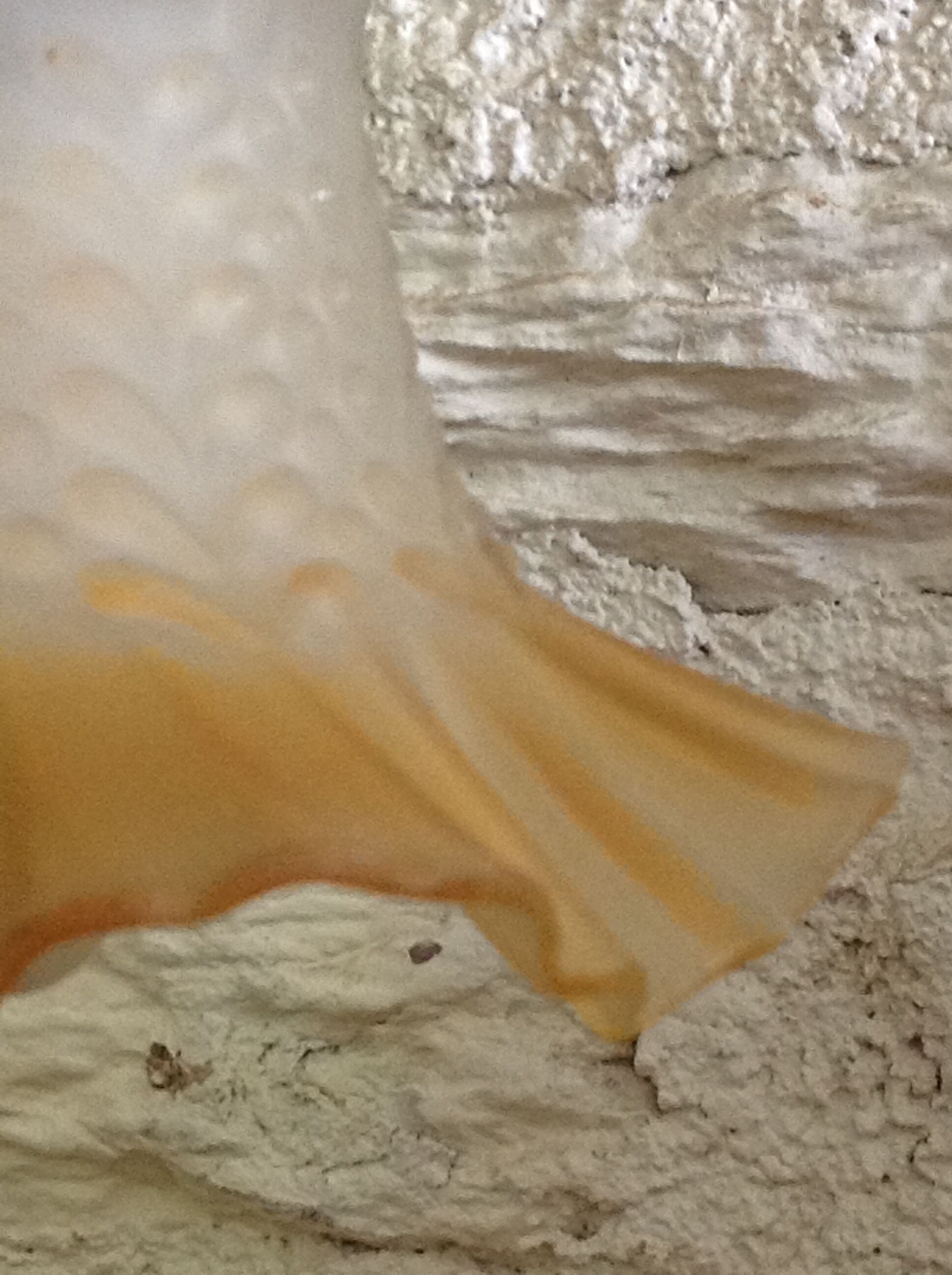 Old table lamp brass vintage tulip glass