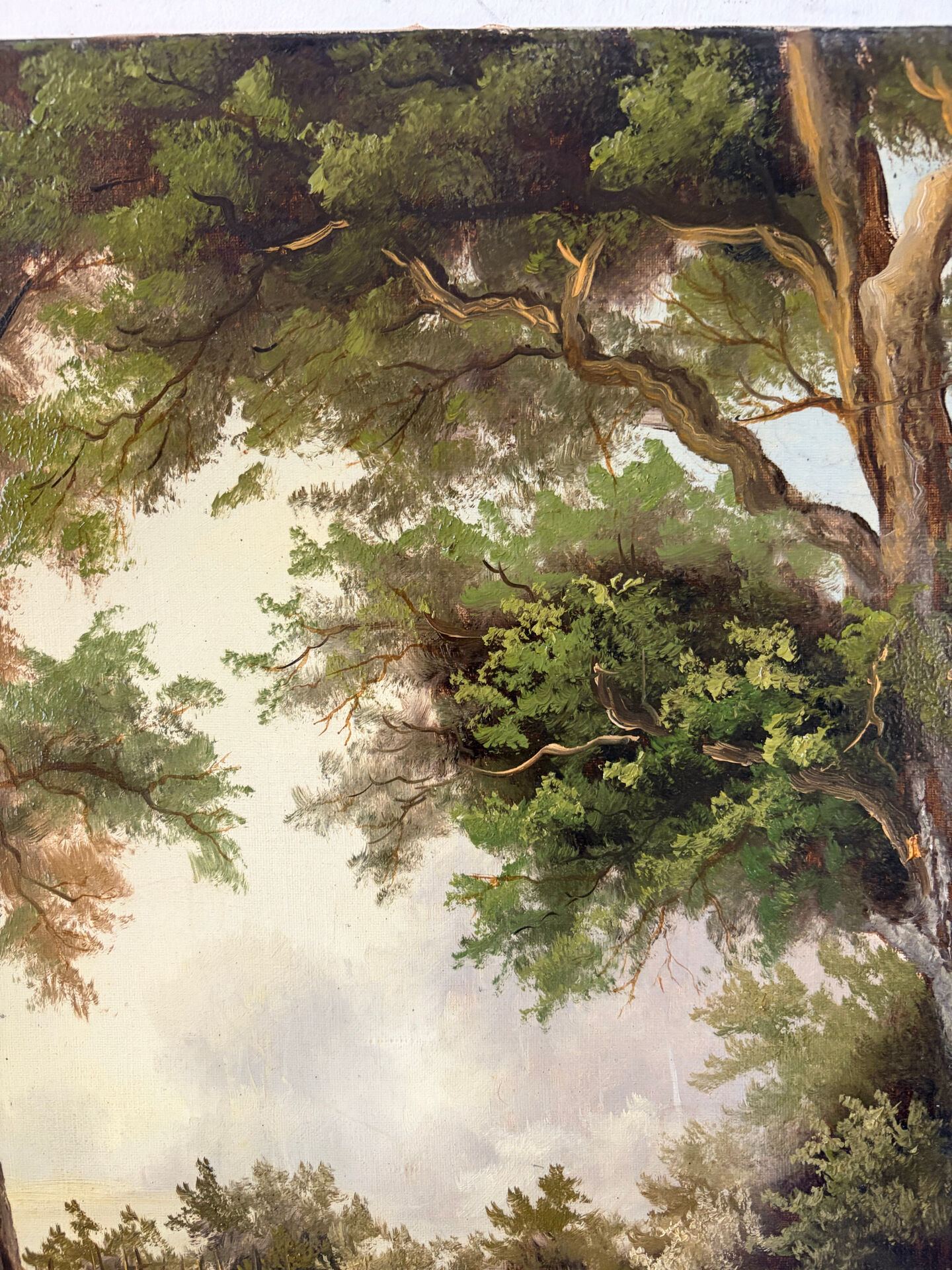 Le grand chêne, huile sur toile signé