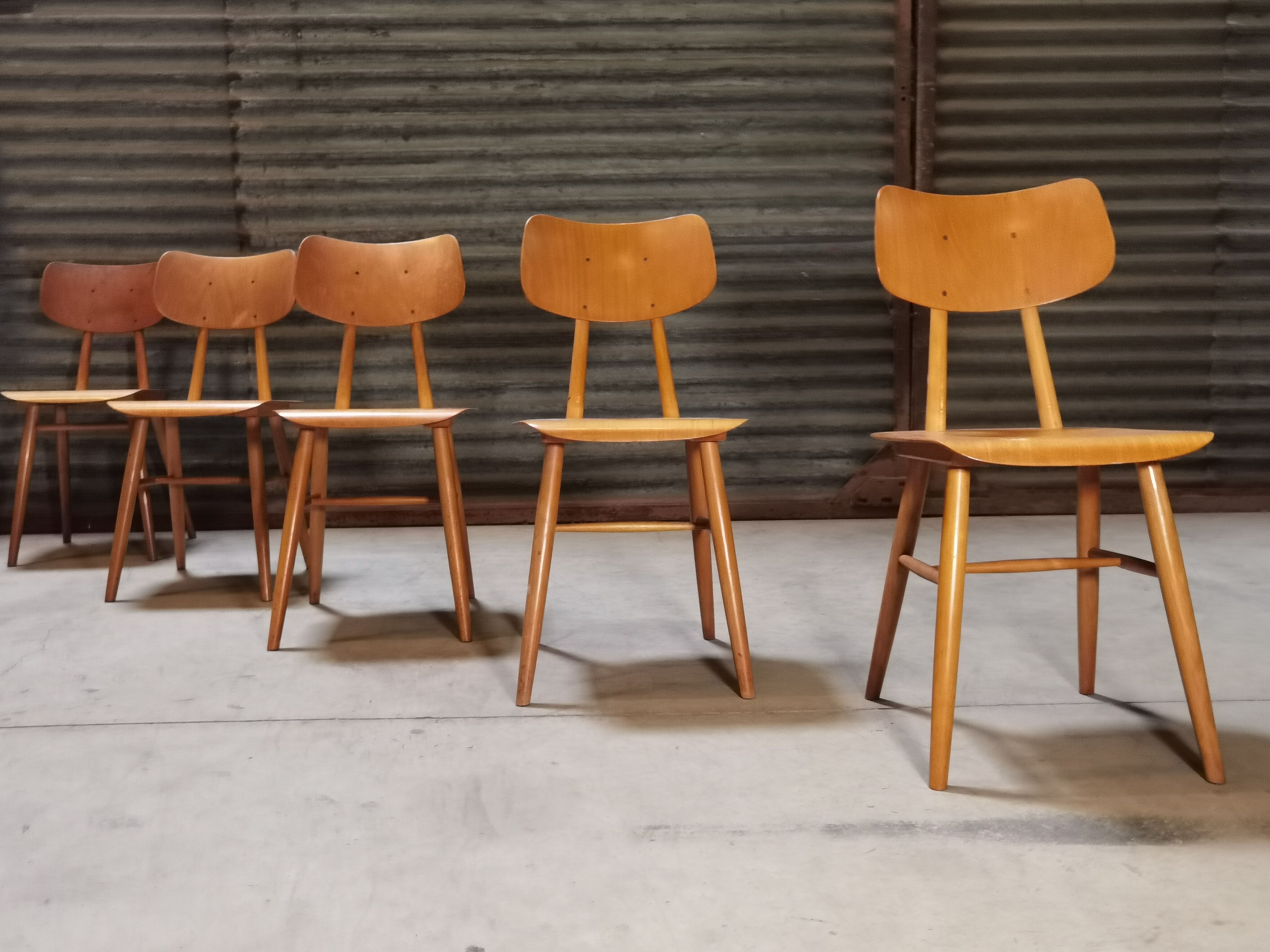 Set of 5 all-wood chairs published by Ton 1960