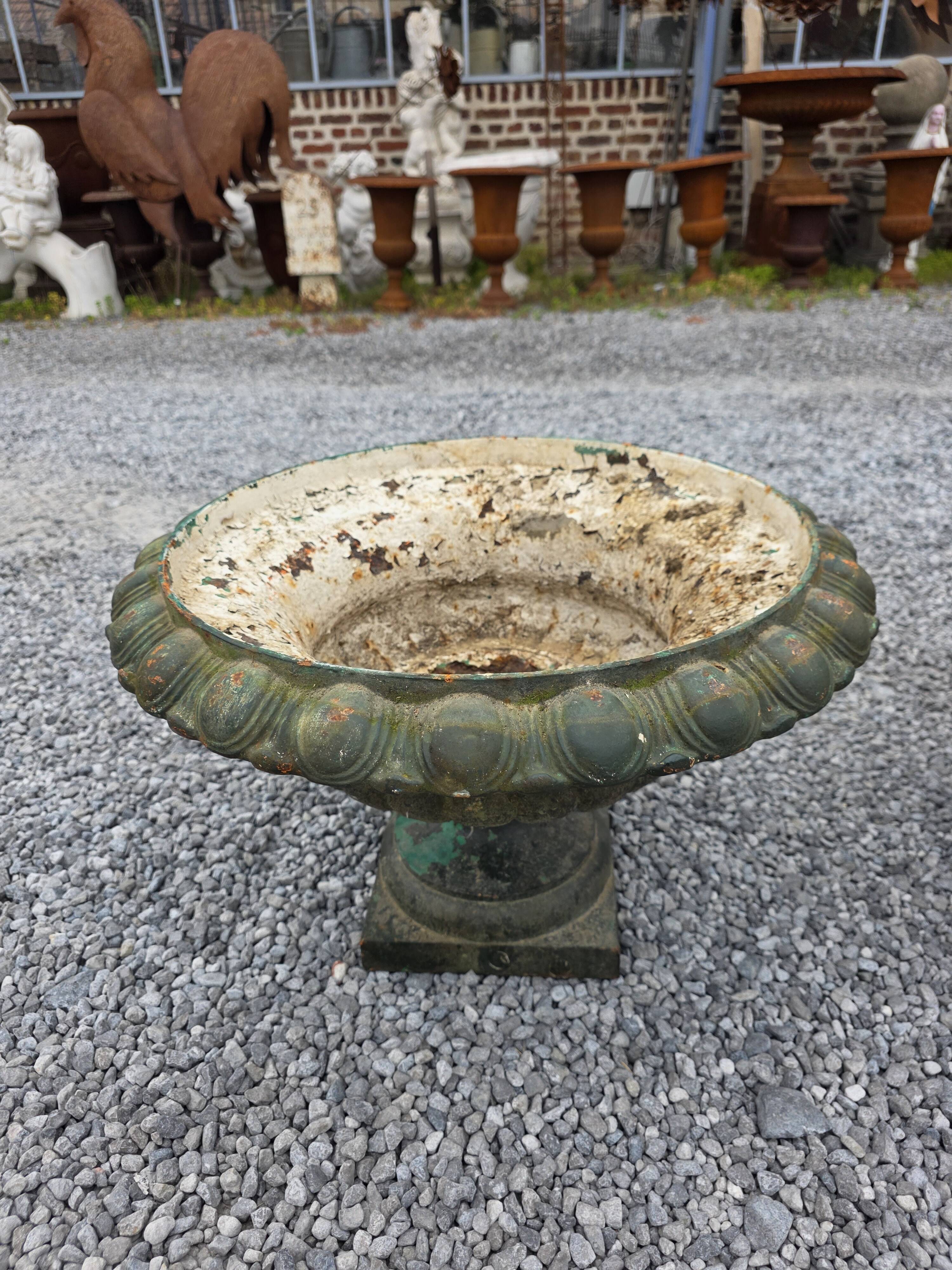 Pair of Medici vases in cast iron from the 19th century, 55cm wide.