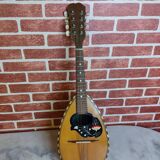 Mandolin from the beginning of the 20th century