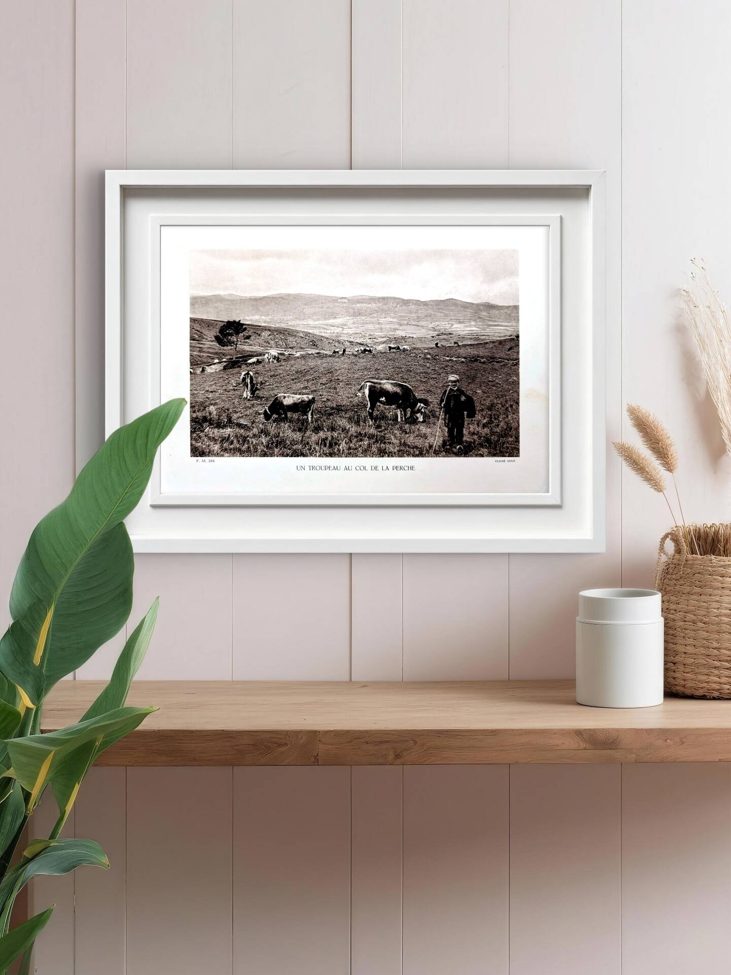 Col de la Perche, Pyrénées-Orientales, photo print from 1937.