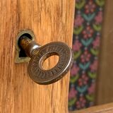 Parisian glazed wardrobe 1950