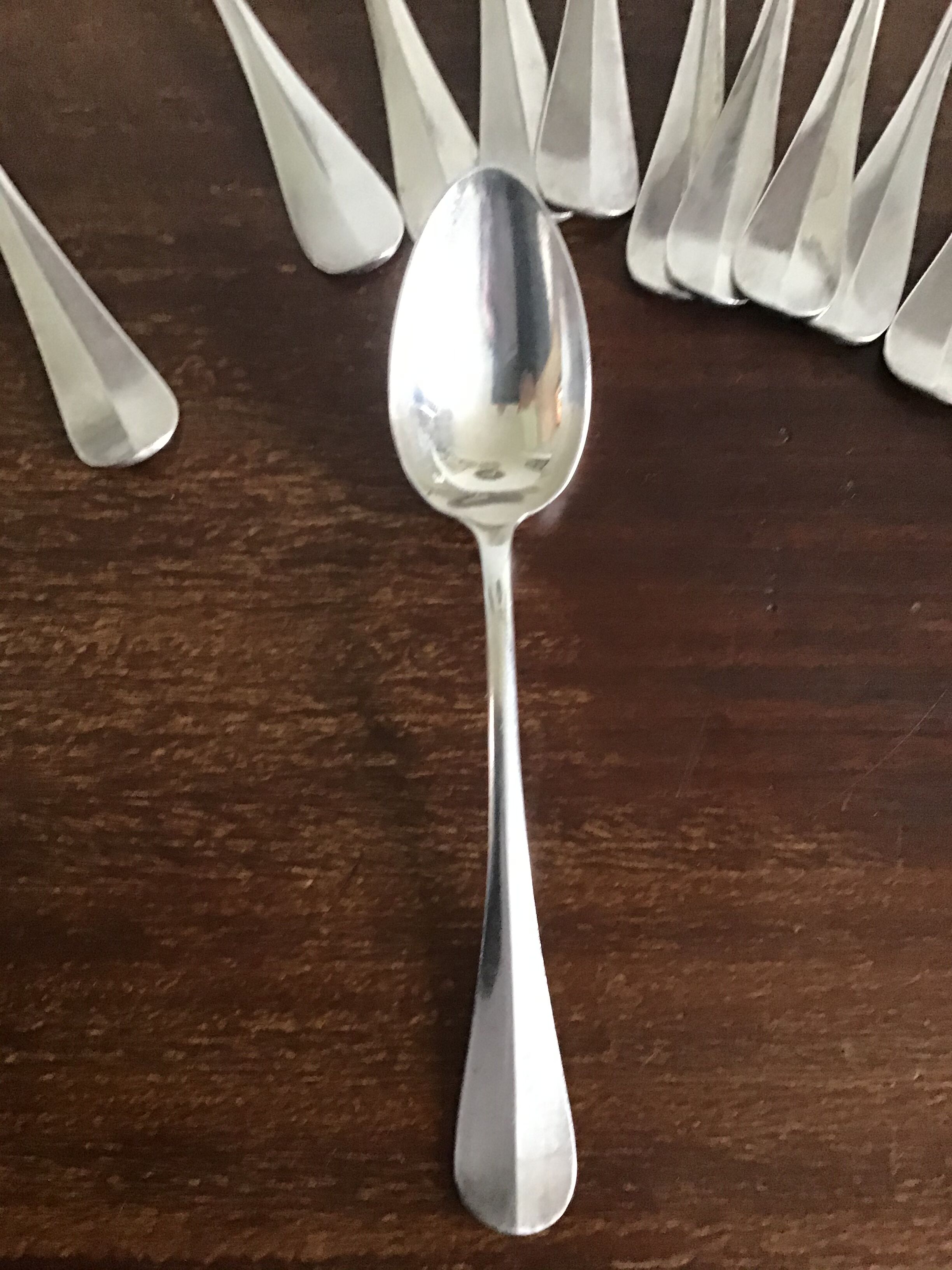 Silver metal covers in their pouch