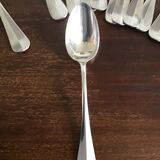 Silver metal covers in their pouch