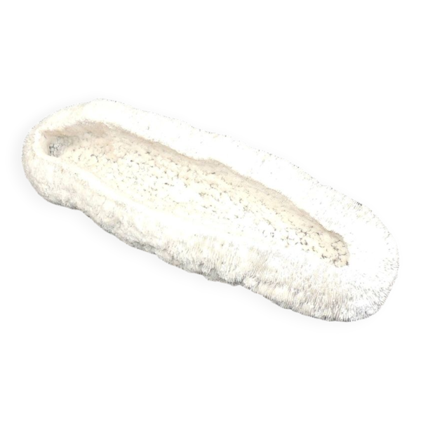 Corail blanc coussin de requin , vanuatu ,papouasie nouvelle guinée
