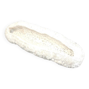 White coral cushion shark, vanuatu, papua new guinea