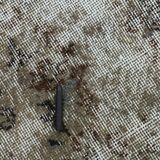 Brown Vintage Runner Rug, 70x295Cm SK 6998