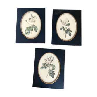Set of three frames medallions