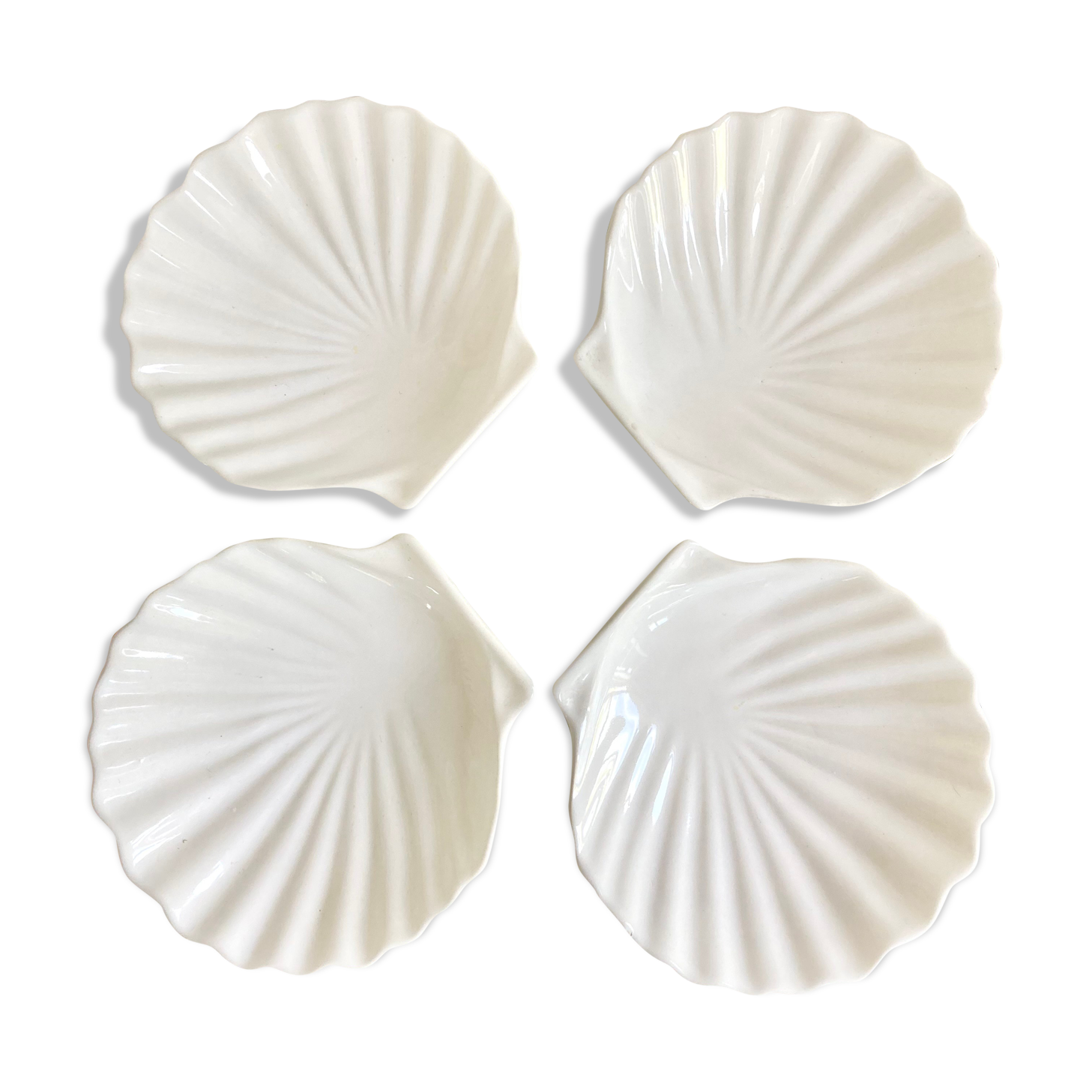 Empty scallop cups ceramic pockets