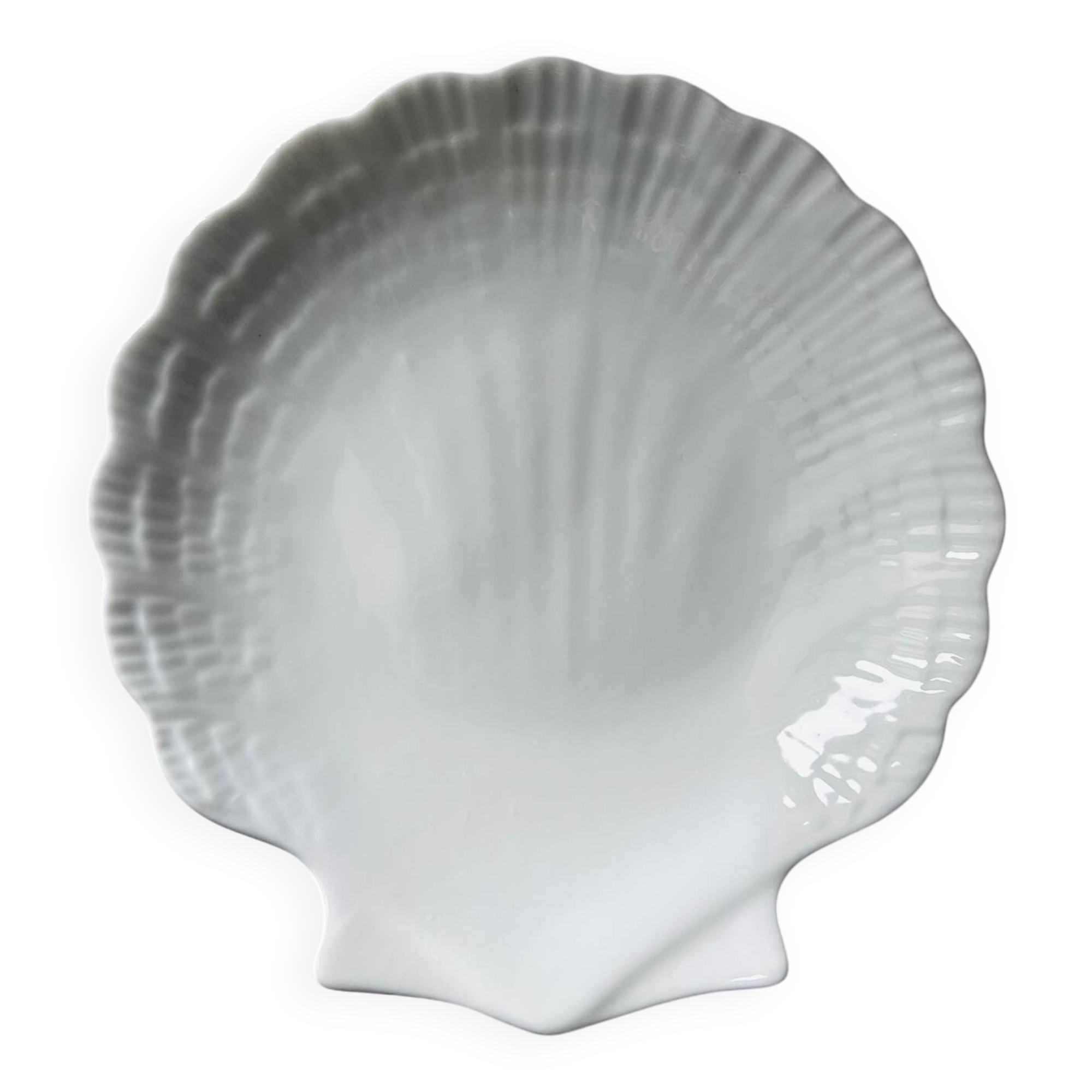 Porcelain shell plate