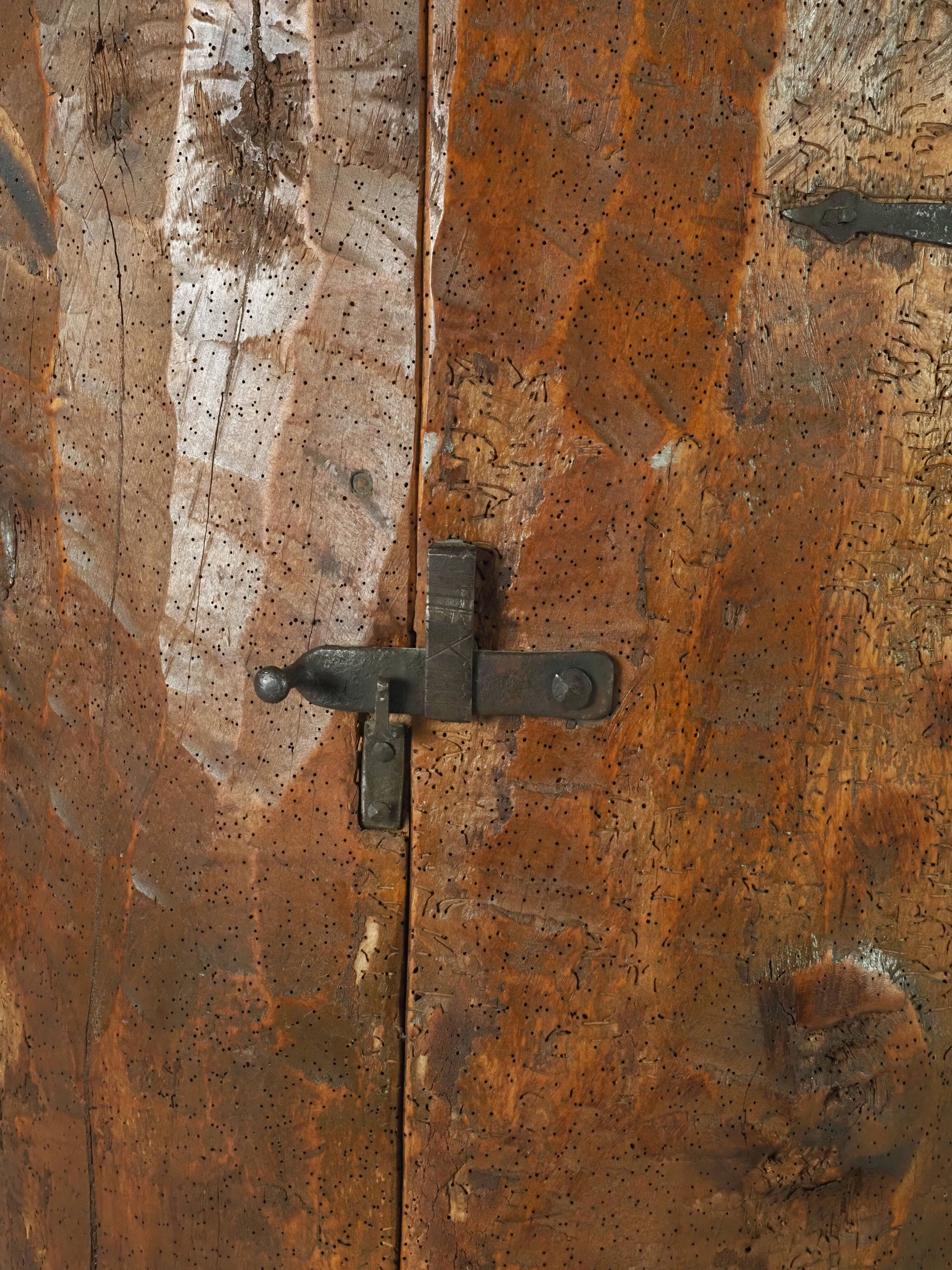Primitive folk art cabinet made of an old tree trunk.