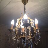 Grape variety chandelier