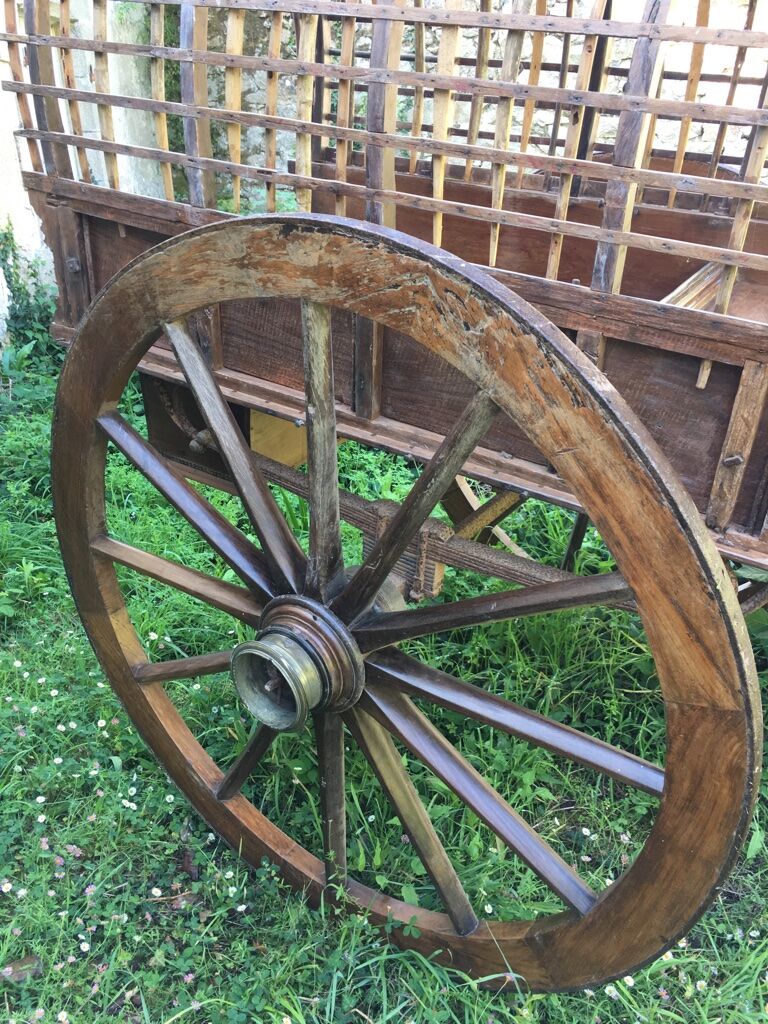 Kerala cart