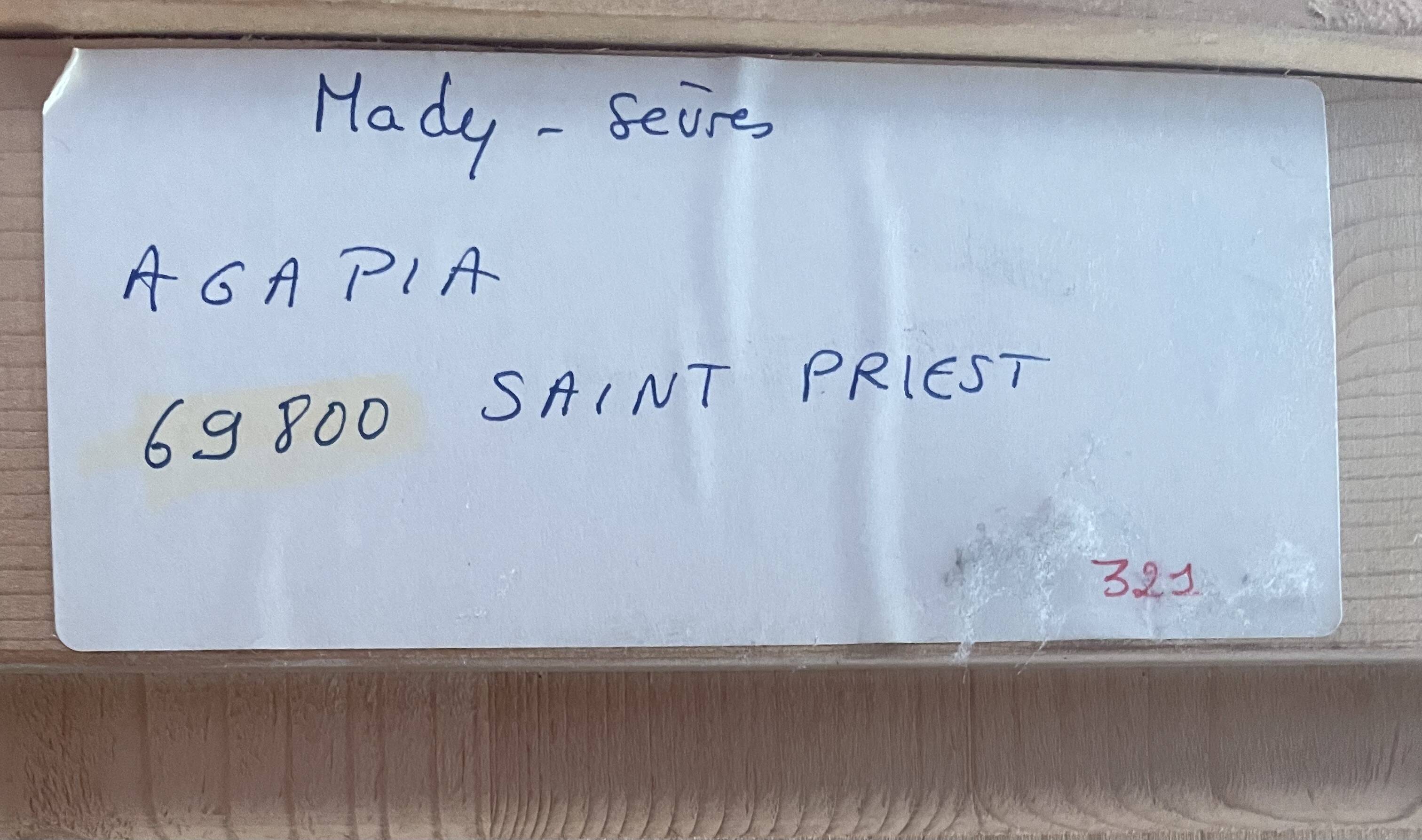 Parisian pine wardrobe