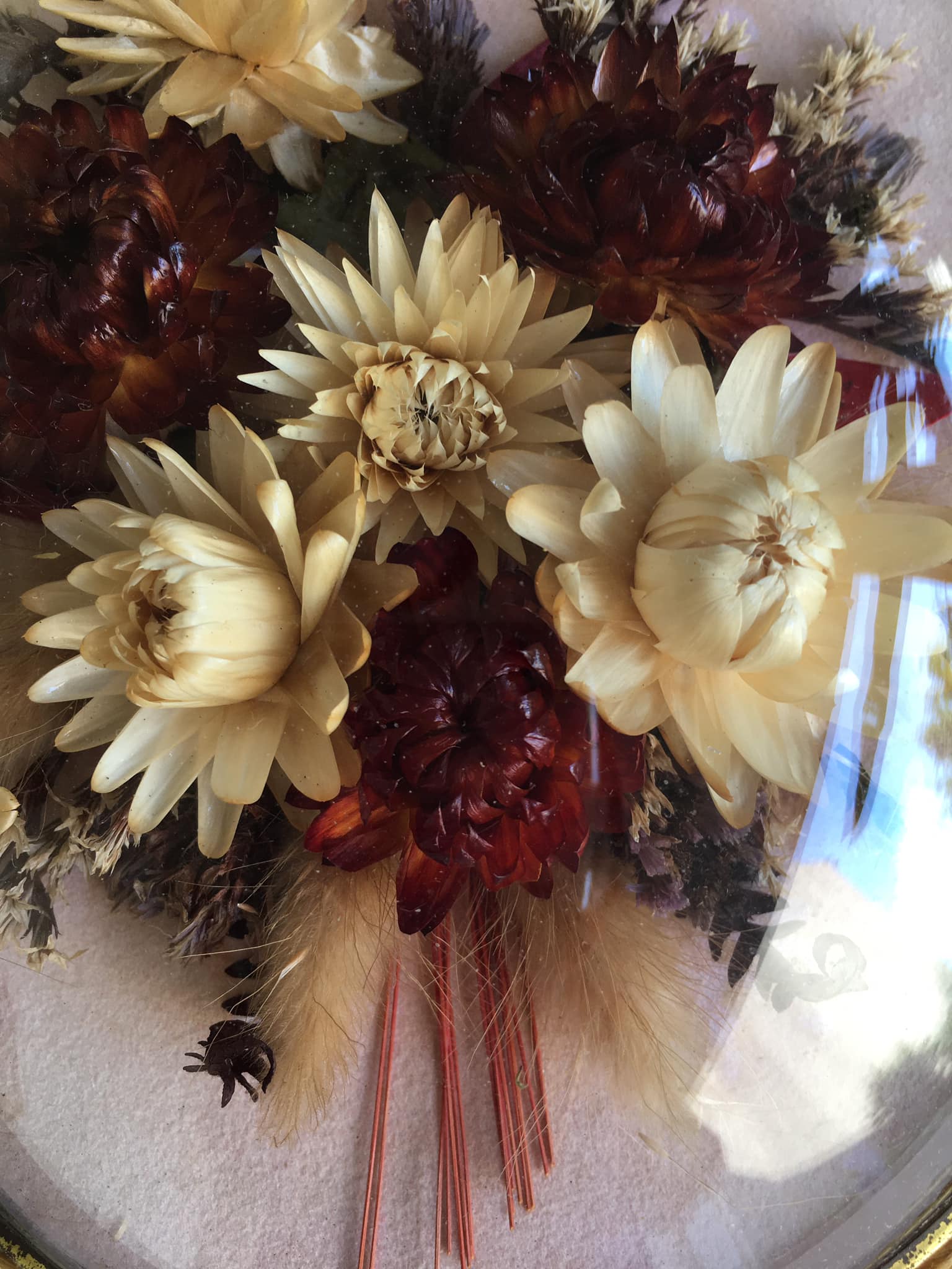 Old medallion frame of dried flowers of oval shape. To hang with velvet stripe.