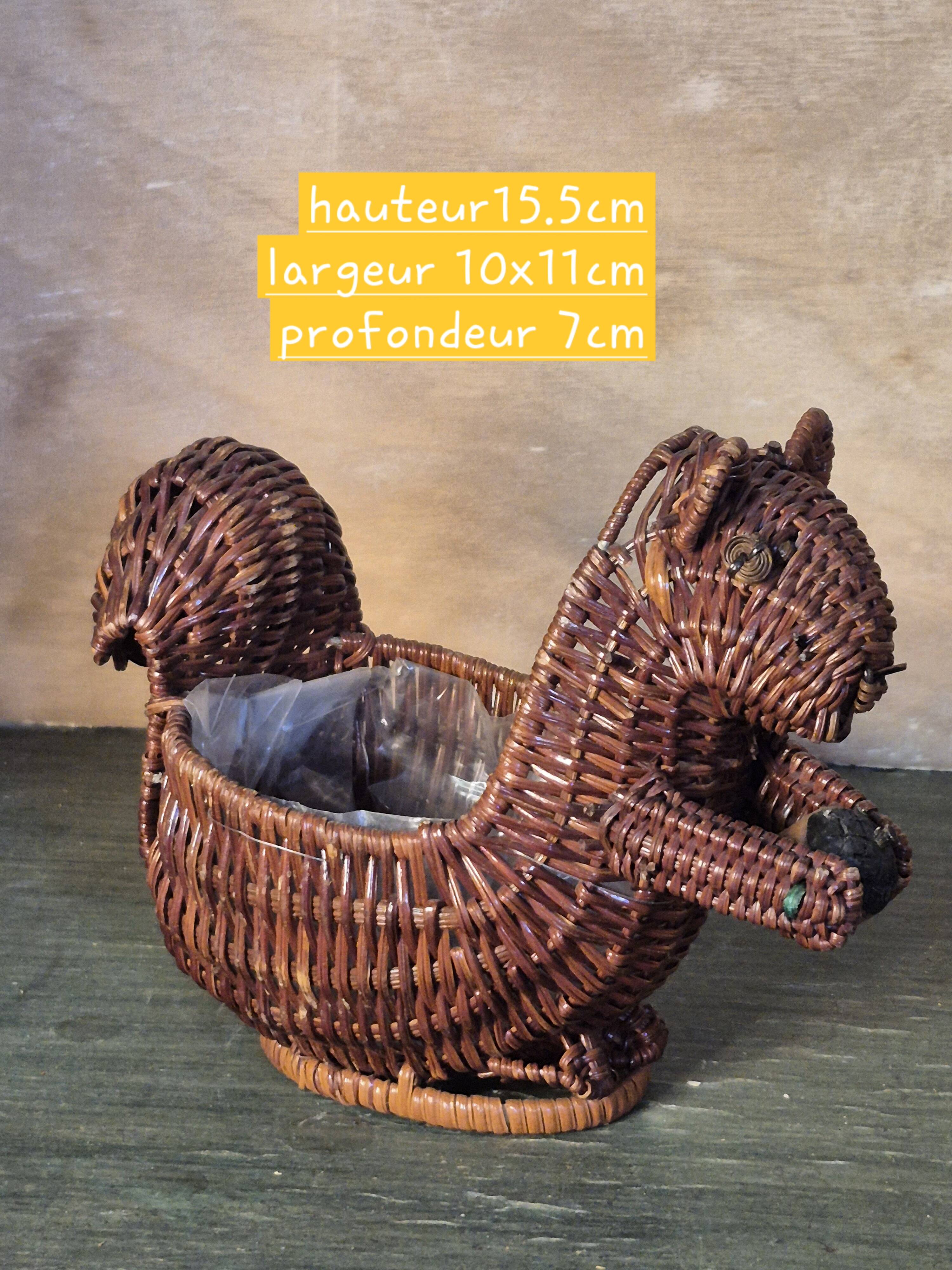 Rattan squirrel