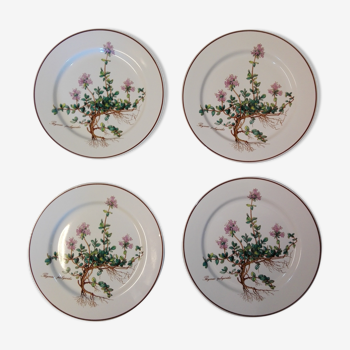 4 assiettes à dessert Botanica Villeroy et Boch 21 cm