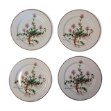 4 dessert plates Botanica Villeroy and Boch 21 cm