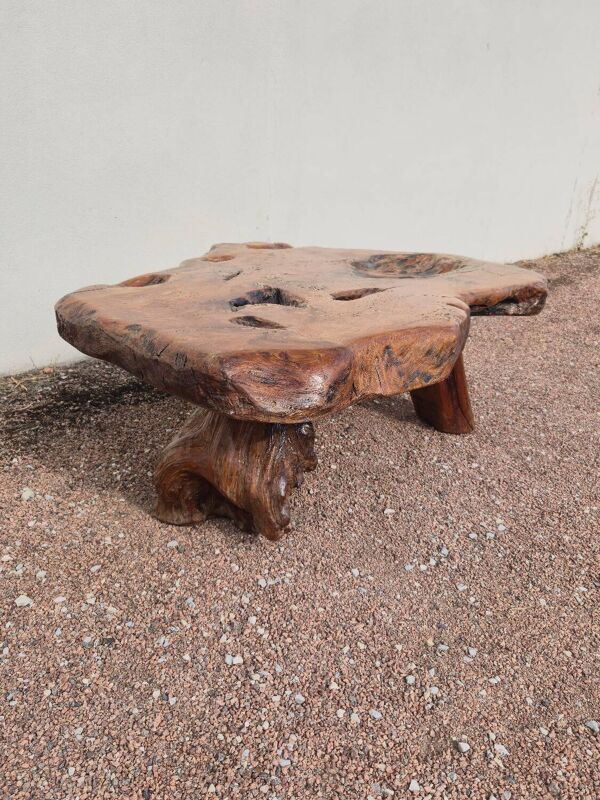 Table basse Brutaliste racine tronc d'arbre en Orme massif 1950s