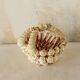 70s Shell Decorative Basket.