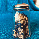 Glass salt shaker