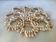 Dessous de plat en coquillages