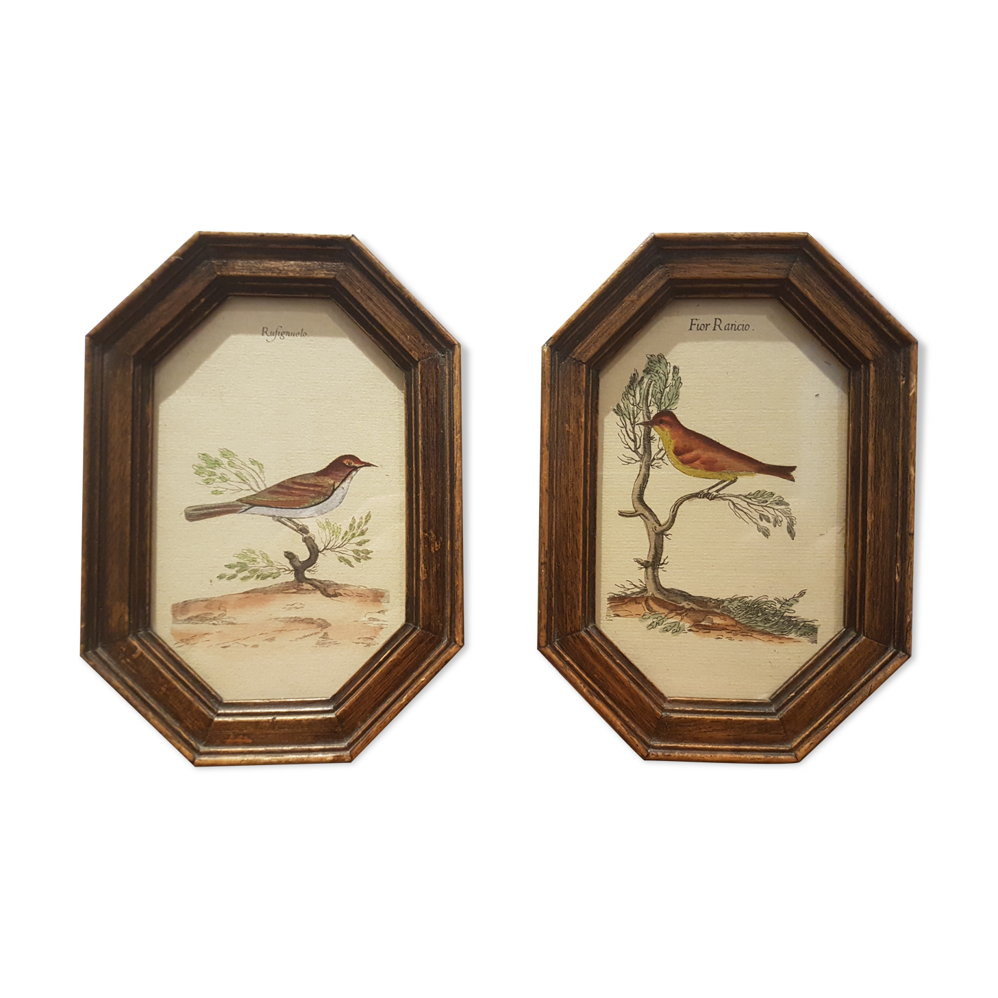 Paire de cadres ornithologie art déco