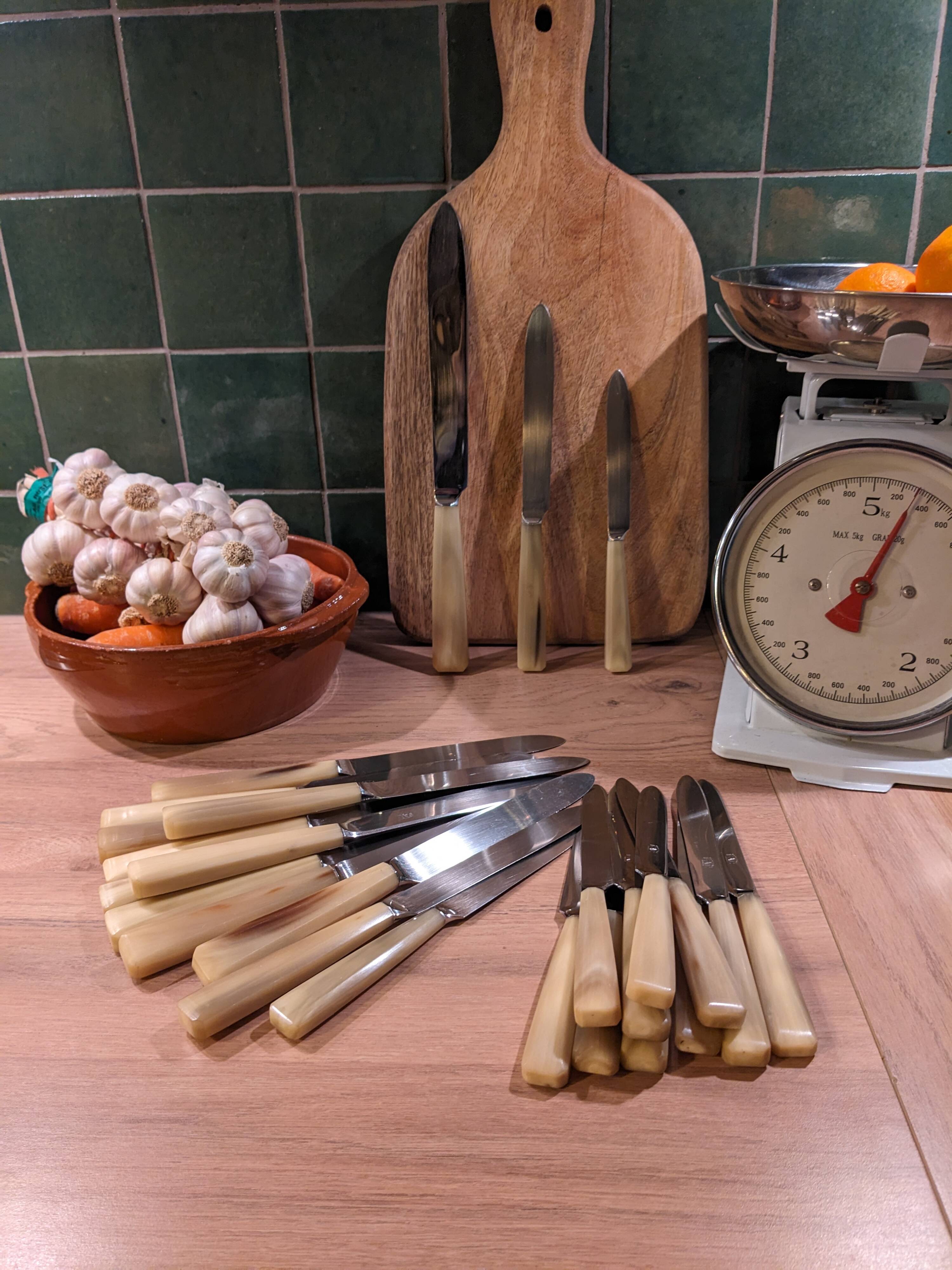 Set of 25 horn and stainless steel knives