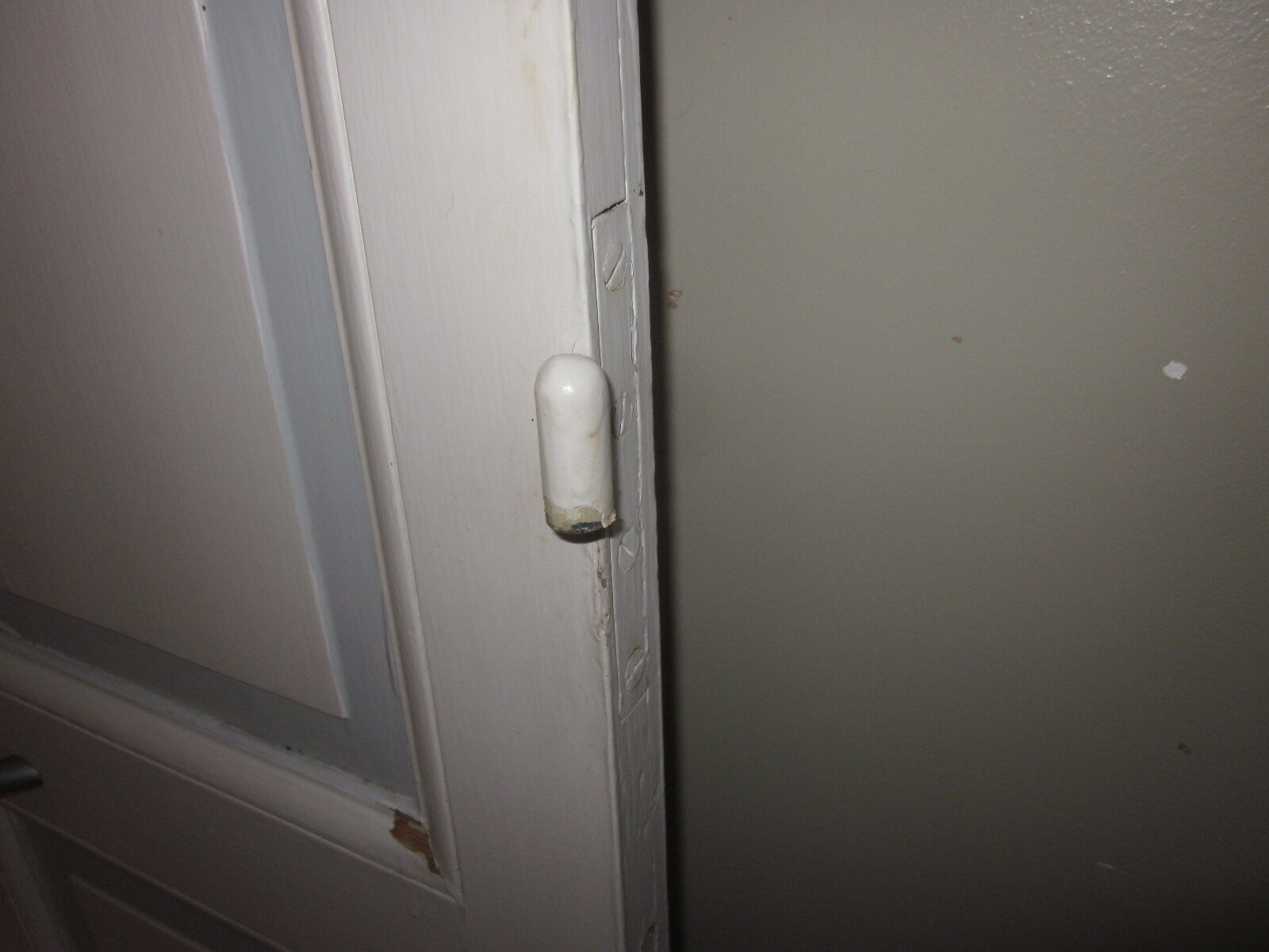 Old closet door pair