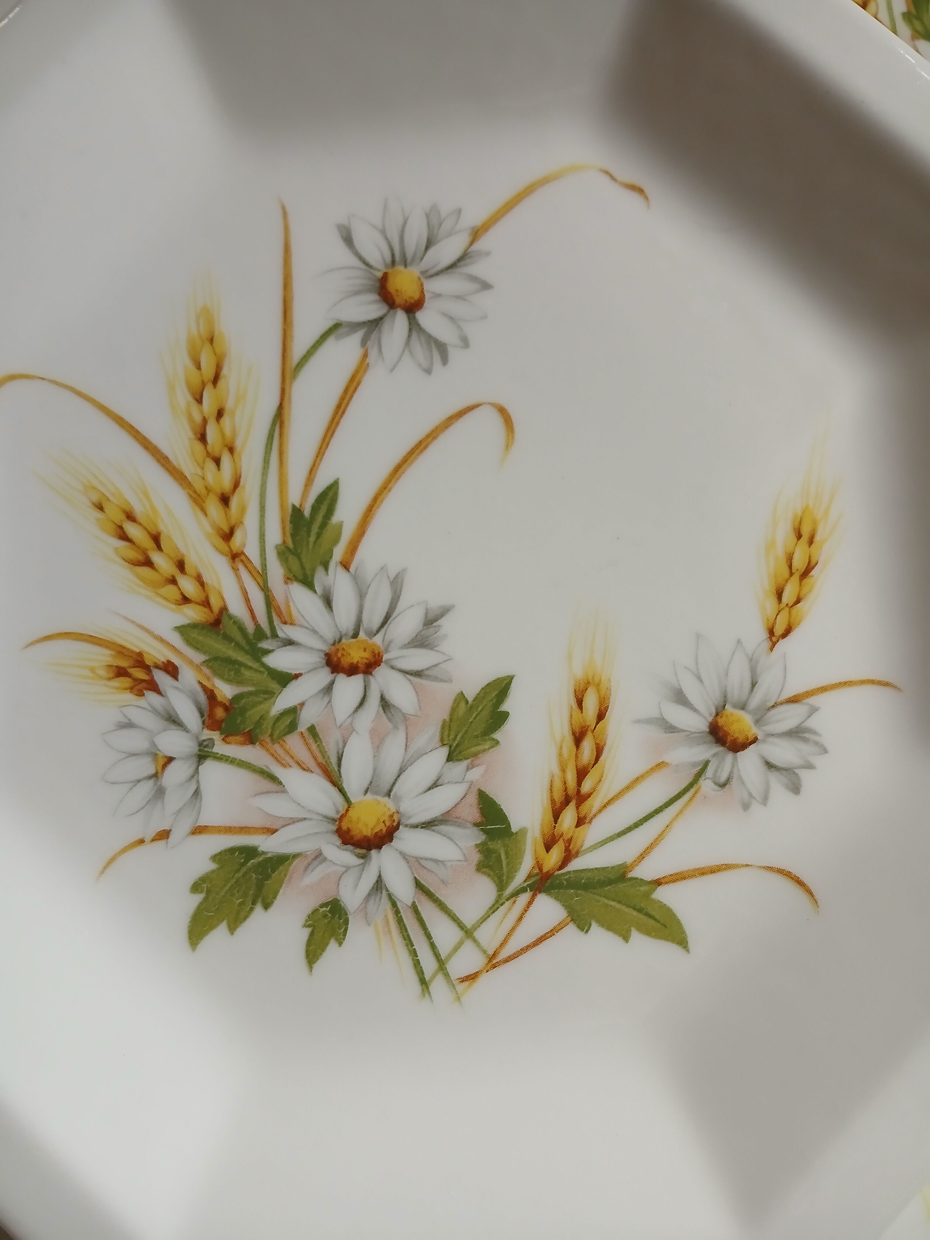 5 vintage dinner plates