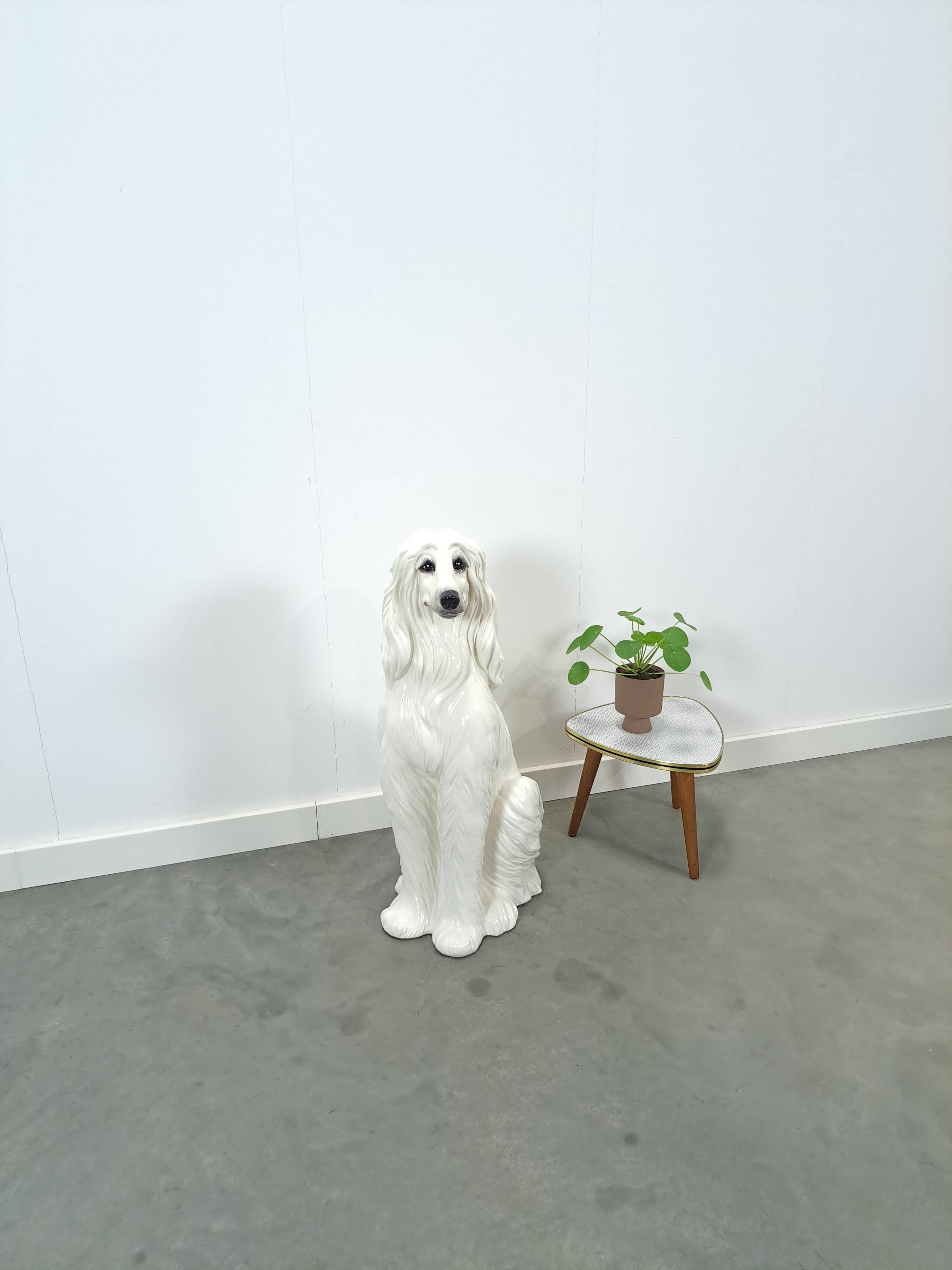 Groot Italiaans keramieken beeld hond