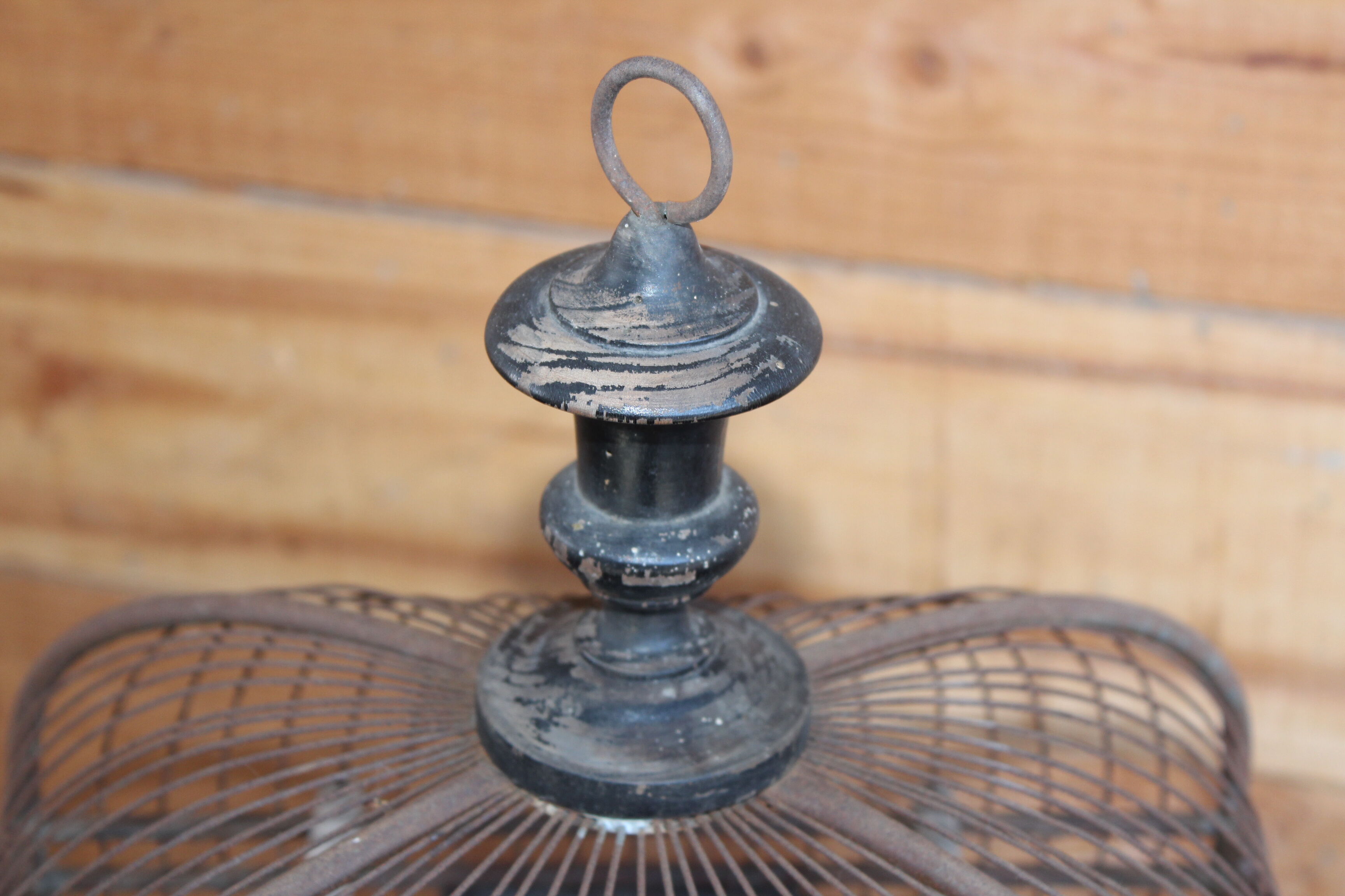 Napoleon Bird Cage 3