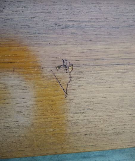 Vintage modular shelf in teak veneer and black metal, Nisse Strinning, 60s (2)