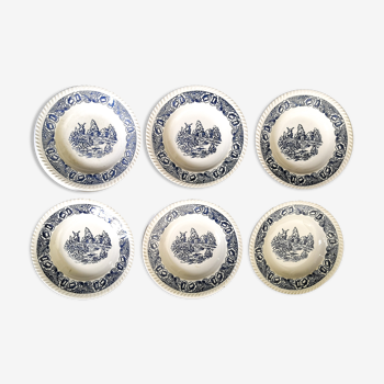Set of 6 country-style soup plates