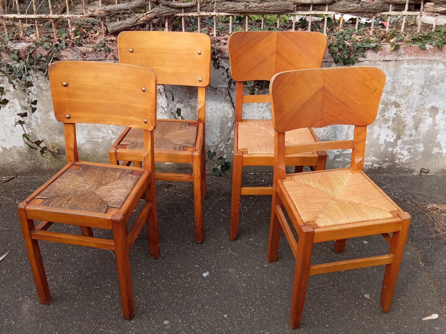 Paire de chaises paillées années 50