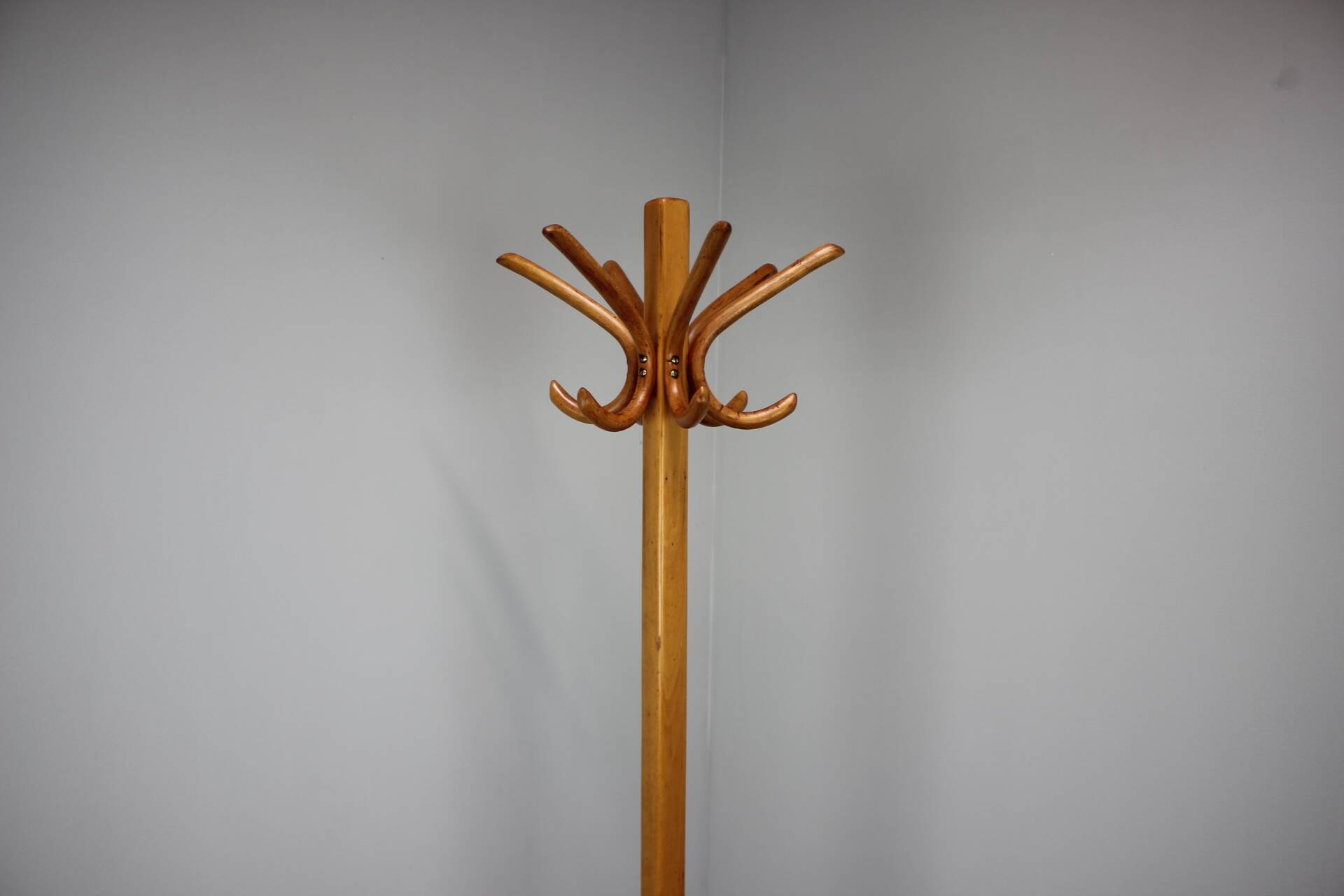 Vintage coat rack in the shape of a parrot in Bentwood - Thonet style - Early 20th century