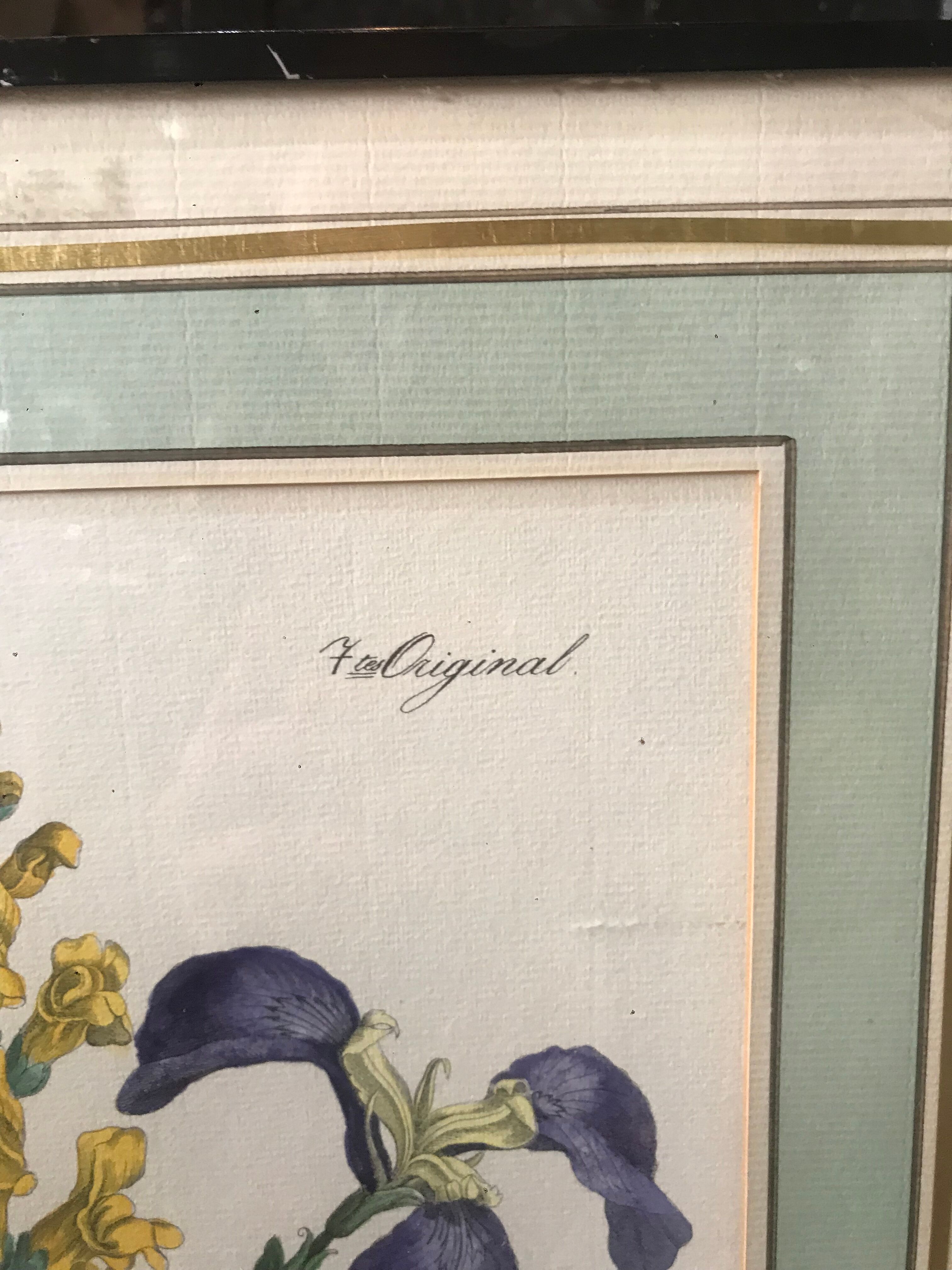 Botanical illustration