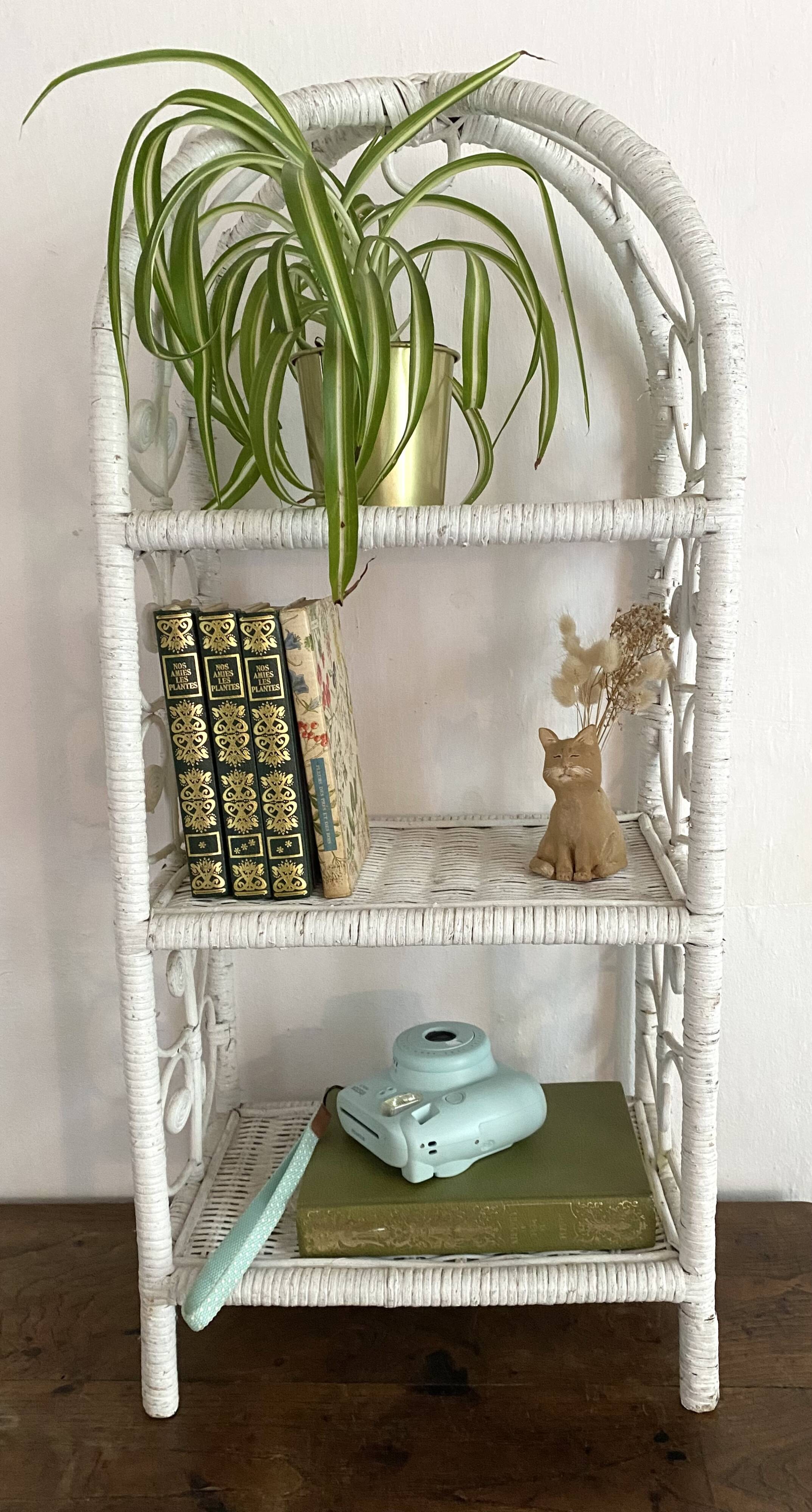 Peacok Rattan Shelf