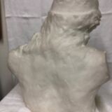 statue bust bearded man in plaster