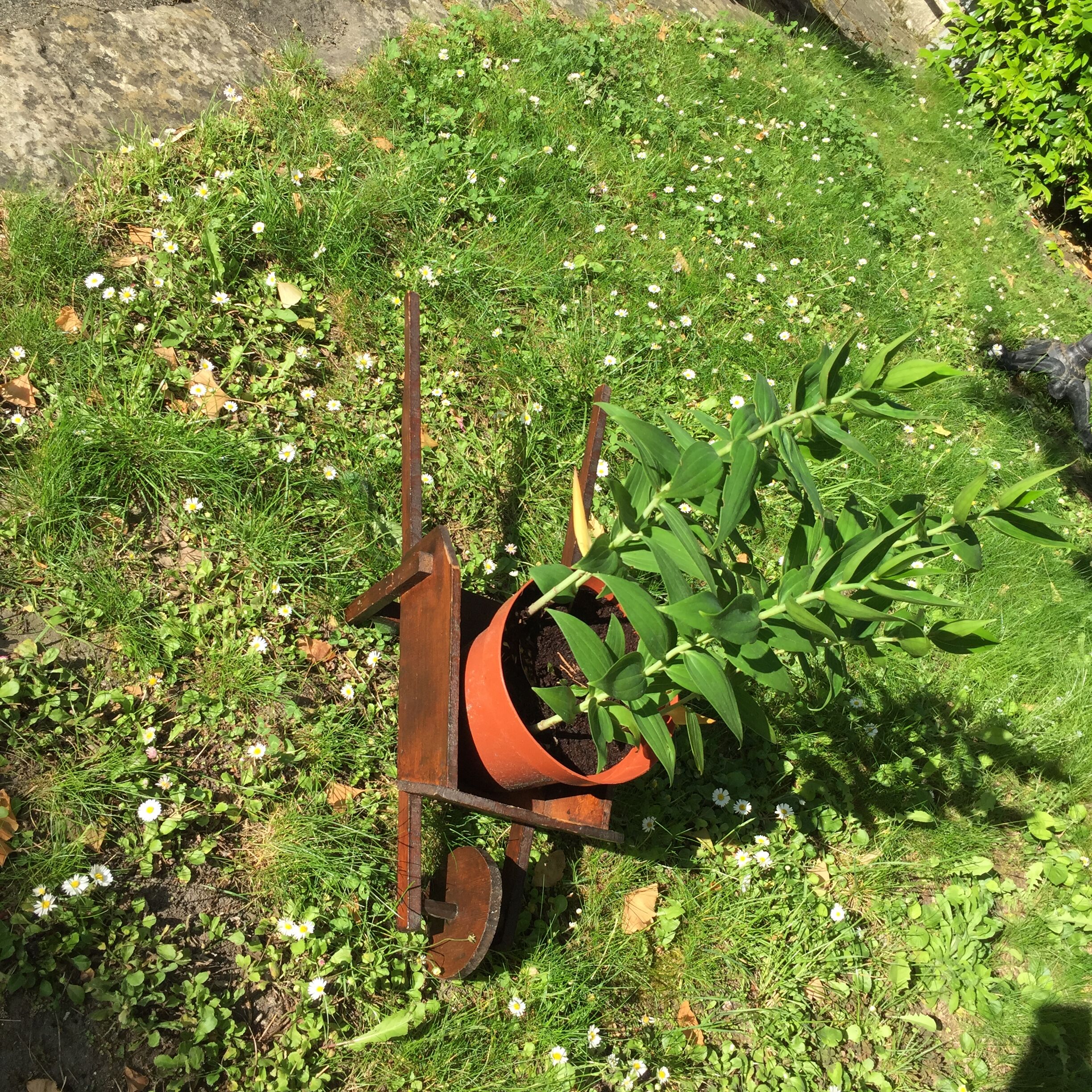 Vintage wooden wheelbarrow