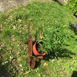 Vintage wooden wheelbarrow