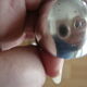 Silver lion's paw sugar clamp (2 punches)