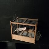 Cage oiseaux ancienne en bois