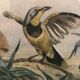 Painting old bird Ornithology nineteenth 1862