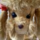 Jouet vintage - caniche à bascule