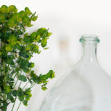 Demijohn transparent 10 L