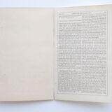 Lithography engraving vintage monkeys - 1850