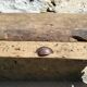 Very old oak carpenter's workbench - A charming piece of trade furniture.