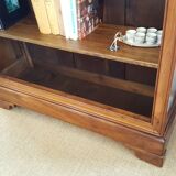 Old library style Louis Philippe of the nineteenth